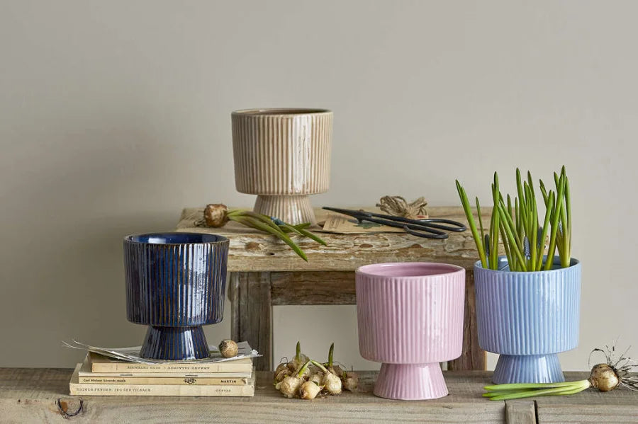 BLUMENTOPF AYLEEN ROSA