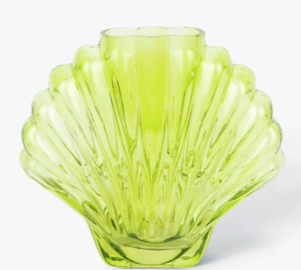 VASE SHELL MUSCHEL TRANSPARENT