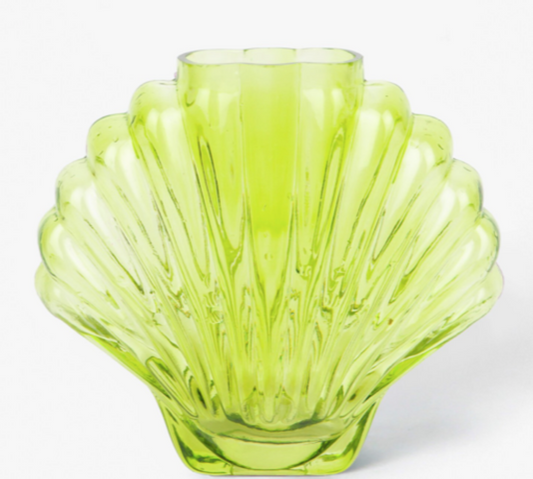 VASE SHELL MUSCHEL TRANSPARENT